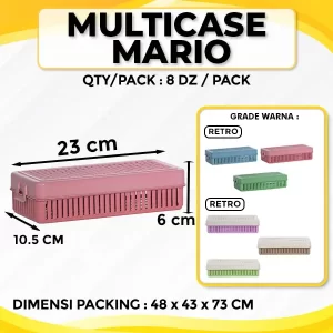 Multi Case Mario