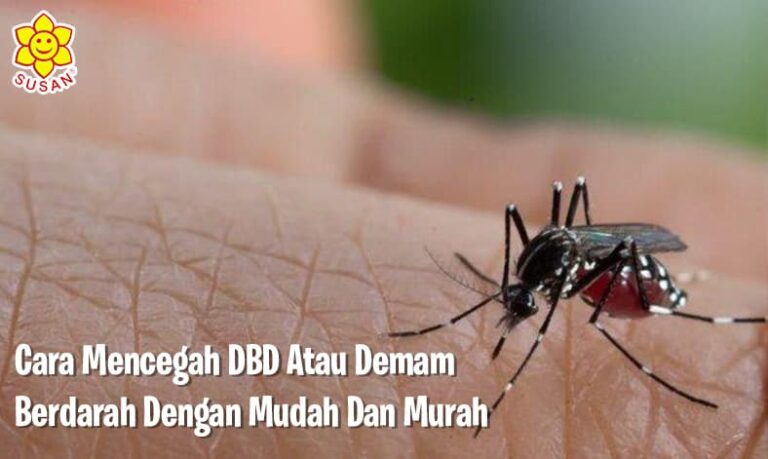 Cara Mencegah DBD atau Demam Berdarah dengan Mudah dan Murah