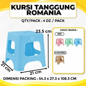 Kursi Tanggung Romania