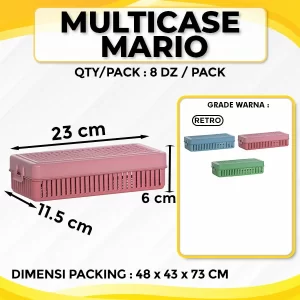 Multi Case Mario