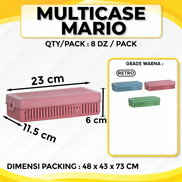 Multi Case Mario